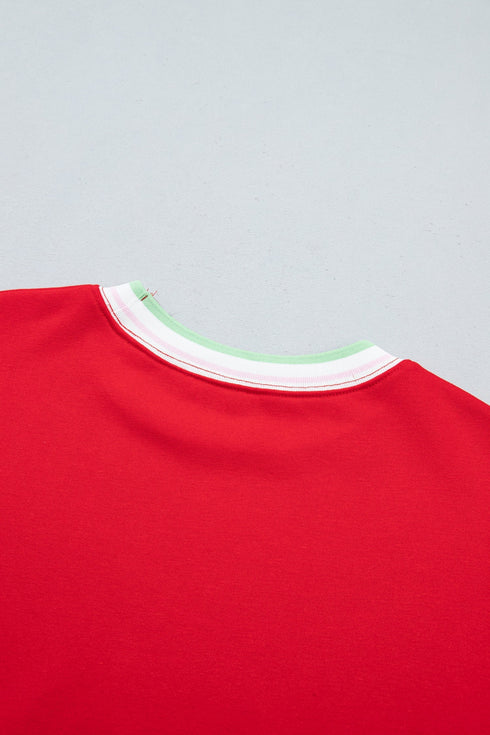Striped Trim Baggy Silhouette Collegiate Inspired Pullover Sweatshirt