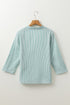 Striped V Neck Roll Tab Sleeve Pocket Shirt