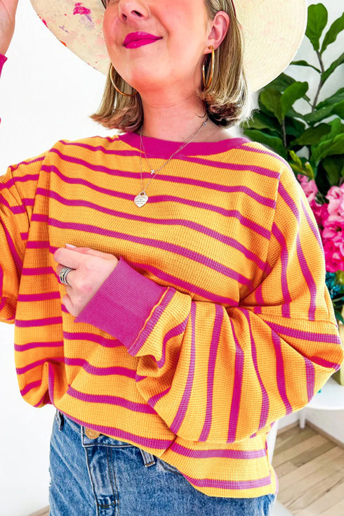 Striped Waffle Knit Long Sleeve Crew Neck Pullover Top