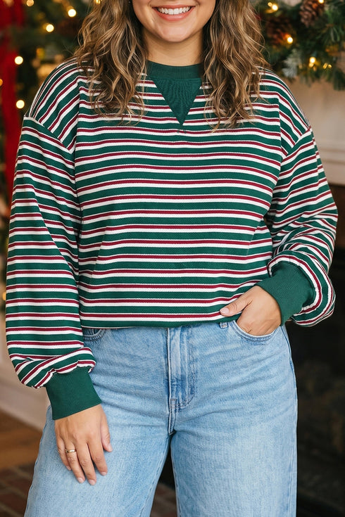 Striped Waffle Knit Round Neck Long Sleeve Sweatshirt