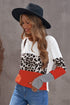 Stripes Leopard Splicing Colorblock Long Sleeve Top