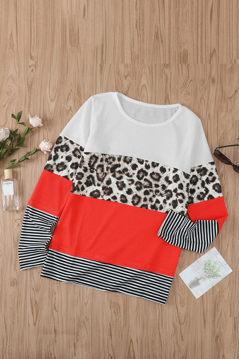 Stripes Leopard Splicing Colorblock Long Sleeve Top