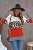 Stripes Leopard Splicing Colorblock Long Sleeve Top