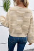 Textured Checkerboard Knit Crew Neck Sweater
