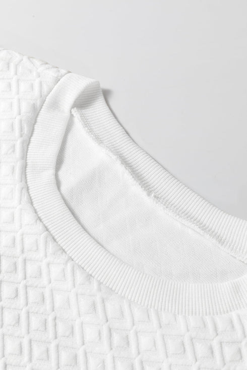 Textured Checkered Puff Long Sleeve Round Neck Top