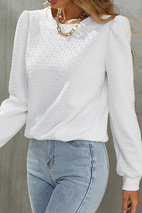 Textured Checkered Puff Long Sleeve Round Neck Top
