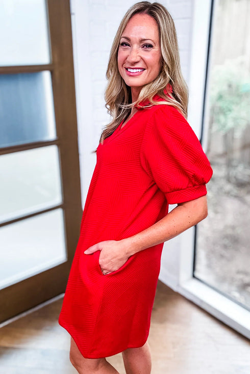 Textured Collared V Neck Puff Short Sleeve Shift Mini Dress