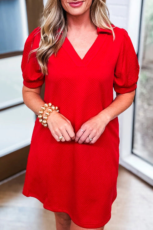 Textured Collared V Neck Puff Short Sleeve Shift Mini Dress
