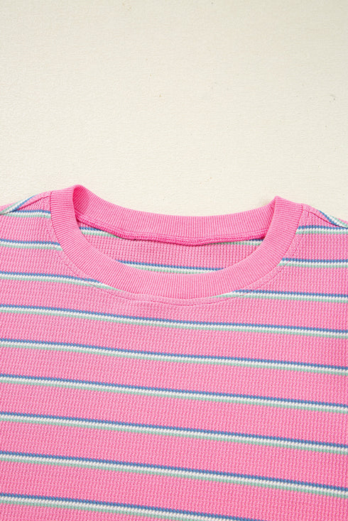 Textured Corded Knit Round Neck Long Sleeve Top