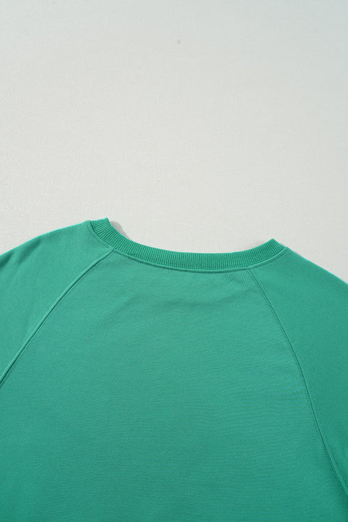 Textured Diagonal Stripe Accent Crew Neck Sweatshirt