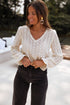Textured Floral Lace V Neck Ruffle Sleeve Blouse