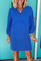 Textured Frill Trim V Neck Three Quarter Balloon Sleeve Shift Mini Dress