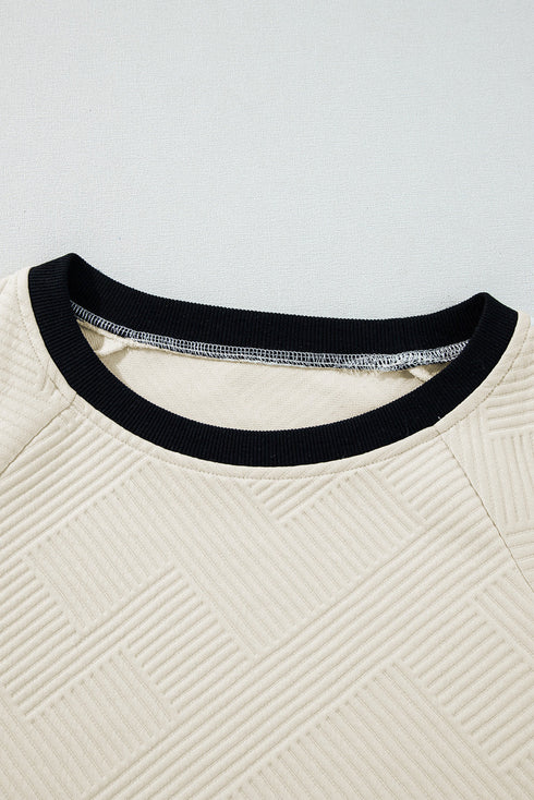 Textured Geometric Knit Raglan Sleeve Pullover Sweatshirt