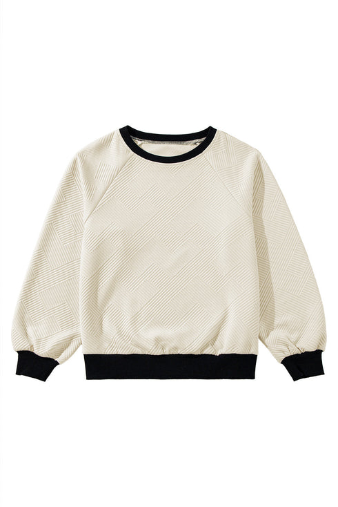Textured Geometric Knit Raglan Sleeve Pullover Sweatshirt