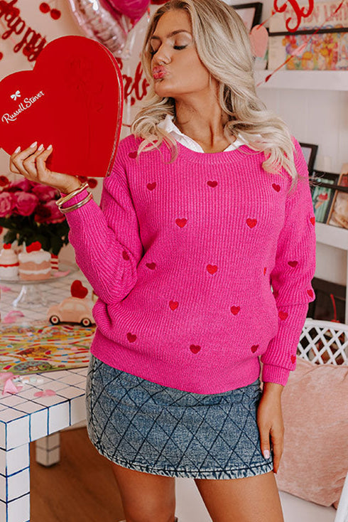 Textured Knit Heart Pattern Crew Neck Sweater