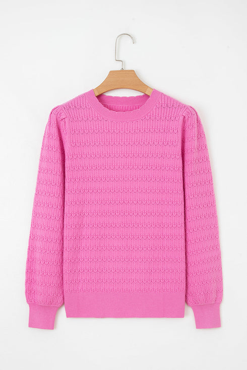 Textured Knit Puff Sleeve Crew Neck Sweater