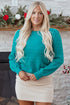 Textured Knit Puff Sleeve Crew Neck Sweater