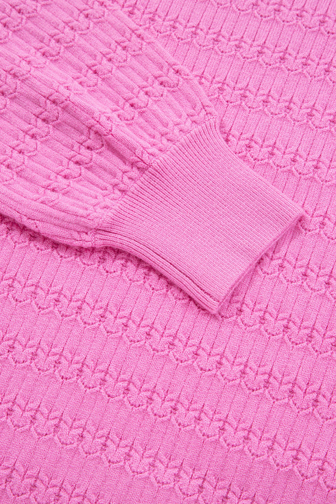 Textured Knit Puff Sleeve Crew Neck Sweater