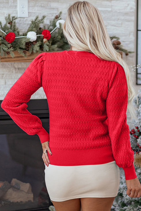 Textured Knit Puff Sleeve Crew Neck Sweater