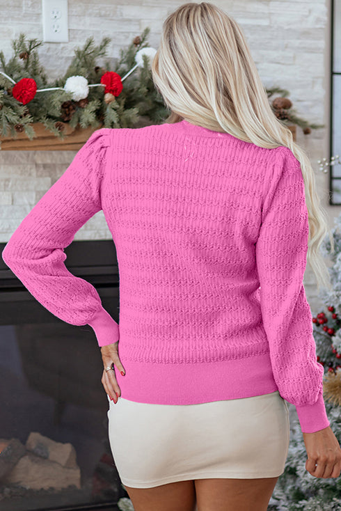 Textured Knit Puff Sleeve Crew Neck Sweater