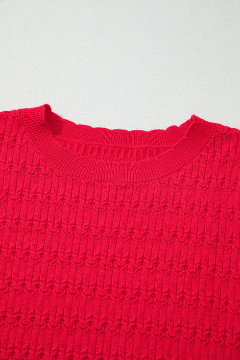 Textured Knit Puff Sleeve Crew Neck Sweater