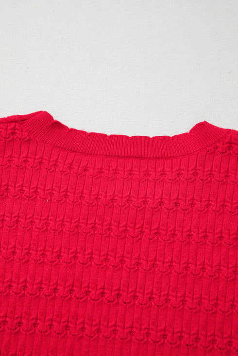 Textured Knit Puff Sleeve Crew Neck Sweater