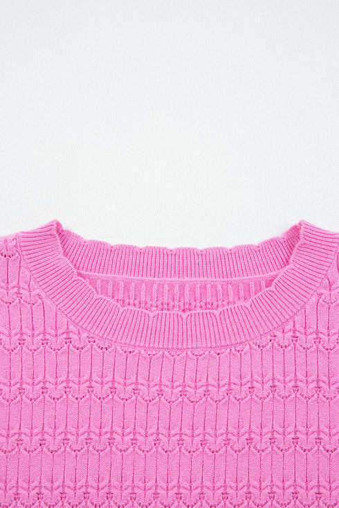 Textured Knit Puff Sleeve Crew Neck Sweater