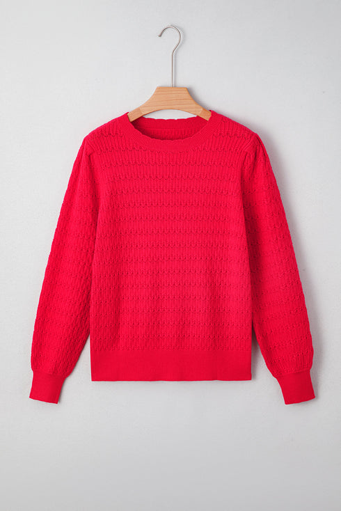 Textured Knit Puff Sleeve Crew Neck Sweater
