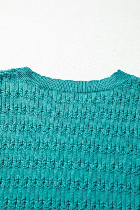 Textured Knit Puff Sleeve Crew Neck Sweater