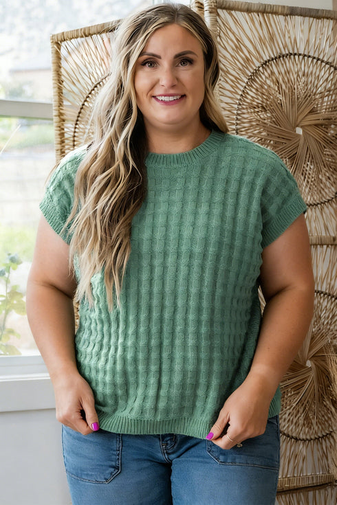 Textured Knit Short Sleeve Pullover Sweater