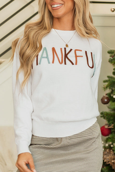 Textured Letter Graphic Crew Neck Sweater