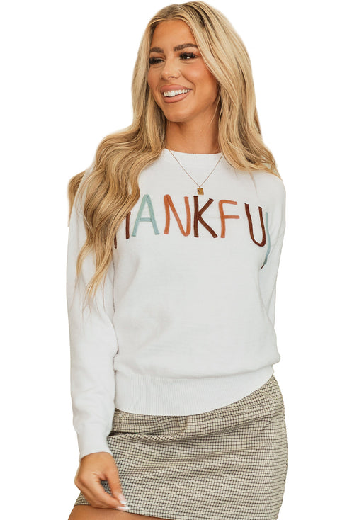 Textured Letter Graphic Crew Neck Sweater