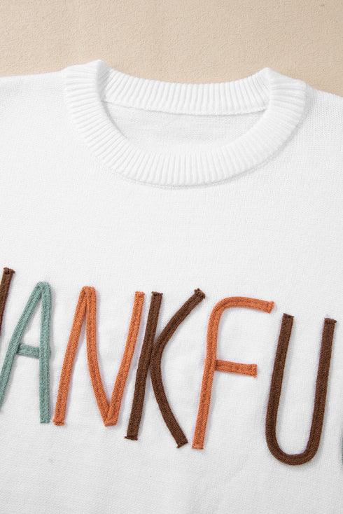 Textured Letter Graphic Crew Neck Sweater