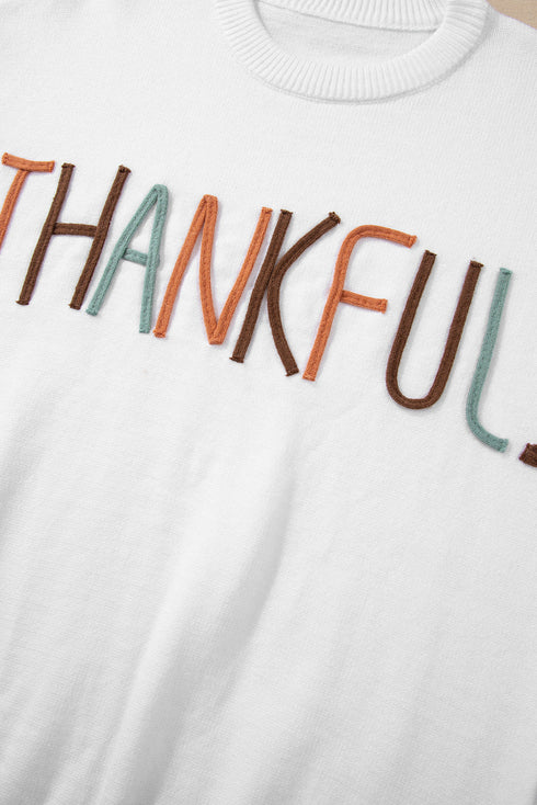 Textured Letter Graphic Crew Neck Sweater