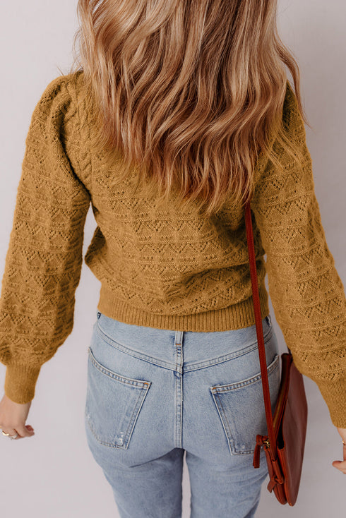 Textured Mock Neck Pointelle Puff Sleeve Sweater
