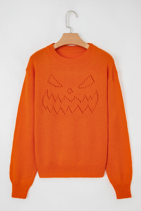 Textured Pointelle Knit Crew Neck Long Sleeve Sweater