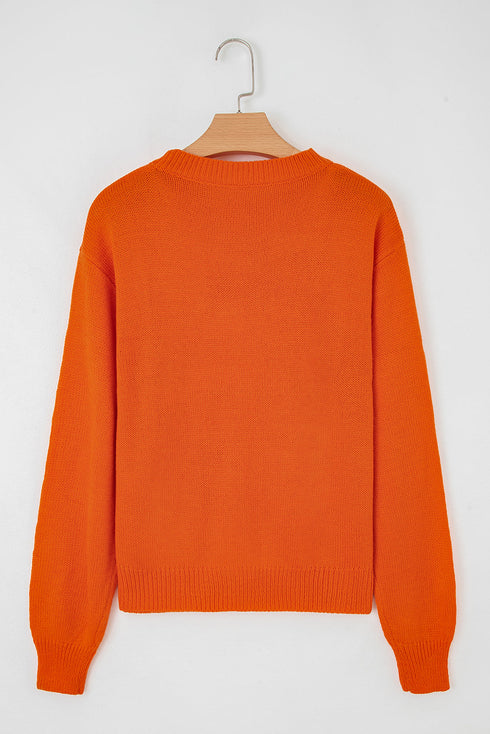 Textured Pointelle Knit Crew Neck Long Sleeve Sweater