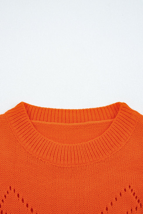 Textured Pointelle Knit Crew Neck Long Sleeve Sweater