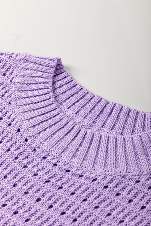 Textured Pointelle Knit Short Sleeve Crew Neck Sweater