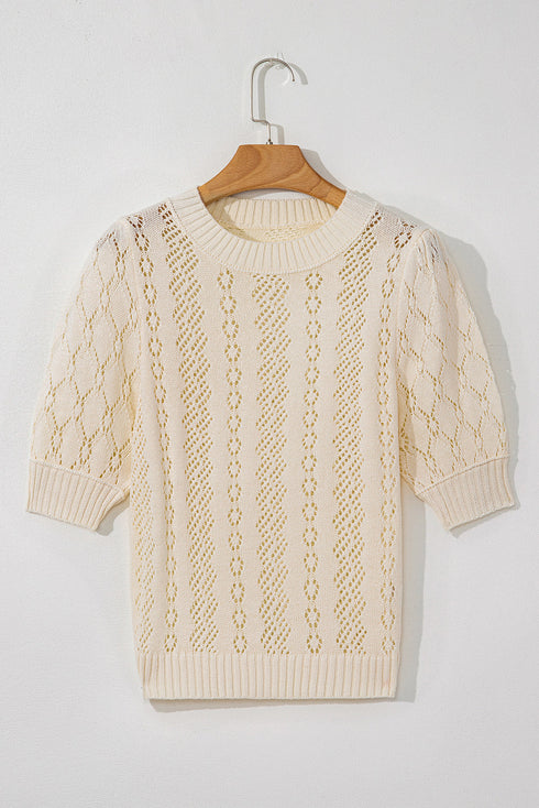 Textured Pointelle Knit Short Sleeve Pullover Sweater