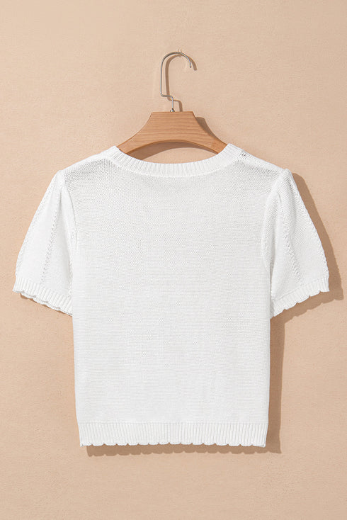 Textured Puff Sleeve Openwork Knit Sweater Top