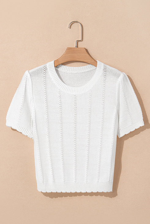 Textured Puff Sleeve Openwork Knit Sweater Top