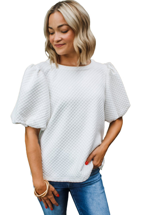 Textured Round Neck Short Puff Sleeve Woven Blouse