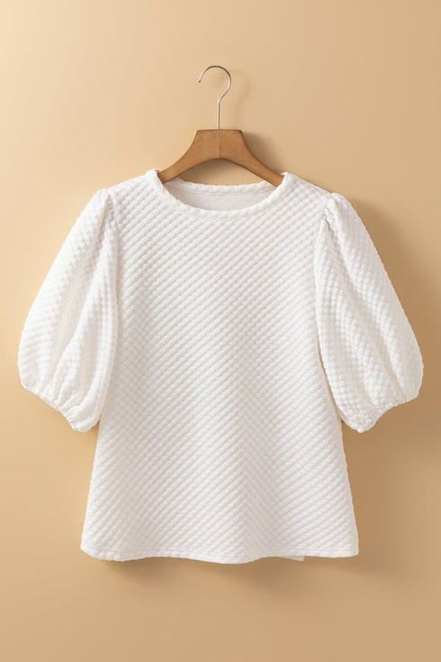 Textured Round Neck Short Puff Sleeve Woven Blouse