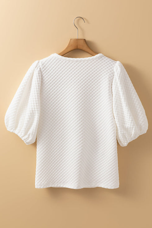 Textured Round Neck Short Puff Sleeve Woven Blouse