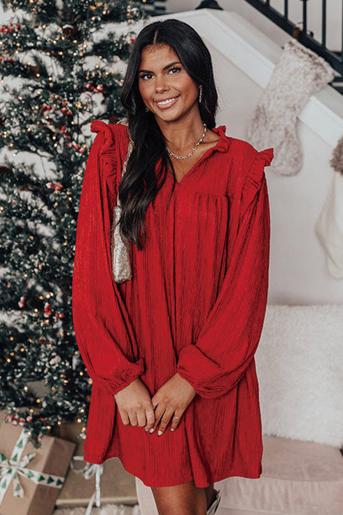 Textured Ruffled Trim V Neck Loose Fit Mini Dress