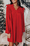 Textured Ruffled Trim V Neck Loose Fit Mini Dress