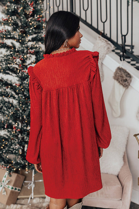 Textured Ruffled Trim V Neck Loose Fit Mini Dress