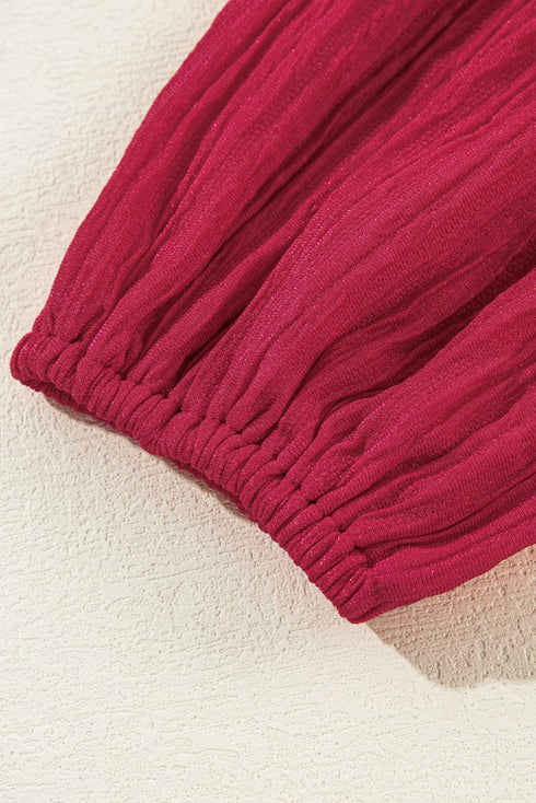 Textured Ruffled Trim V Neck Loose Fit Mini Dress