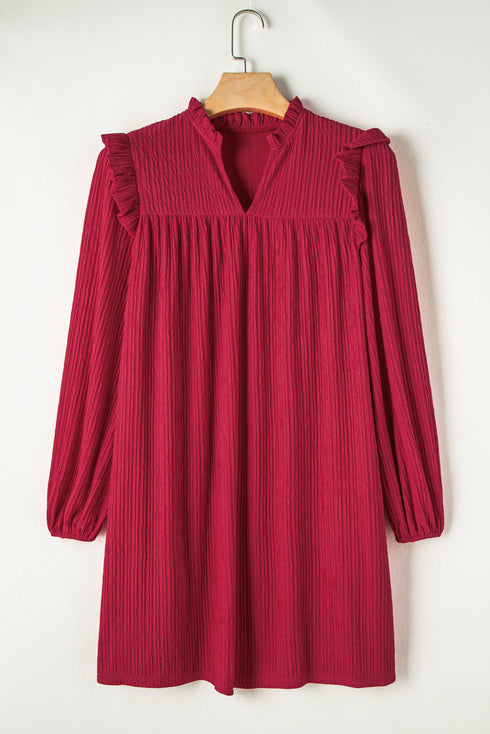 Textured Ruffled Trim V Neck Loose Fit Mini Dress